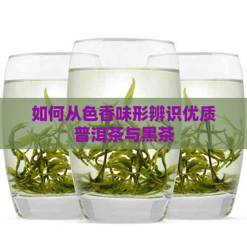 如何从色香味形辨识优质普洱茶与黑茶