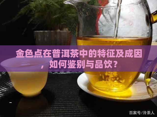 金色点在普洱茶中的特征及成因，如何鉴别与品饮？