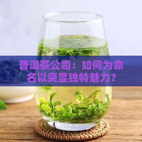 普洱茶公司：如何为命名以突显独特魅力？