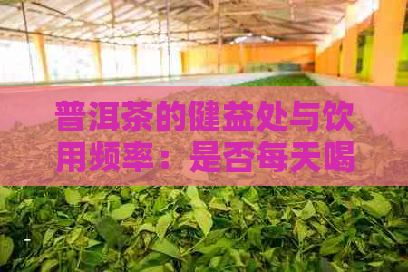 普洱茶的健益处与饮用频率：是否每天喝普洱茶？