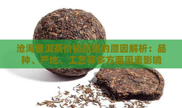 沧海普洱茶价格昂贵的原因解析：品种、产地、工艺等多方面因素影响