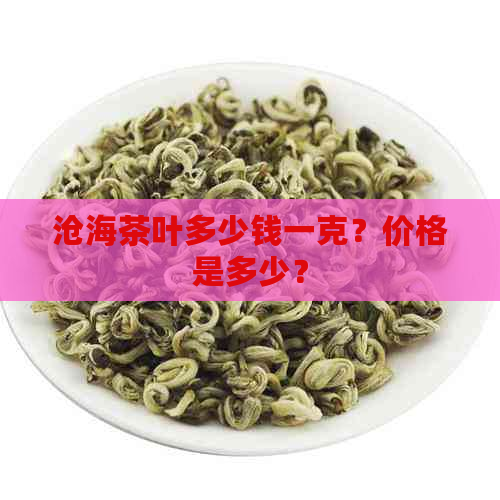 沧海茶叶多少钱一克？价格是多少？