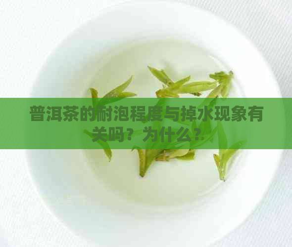 普洱茶的耐泡程度与掉水现象有关吗？为什么？