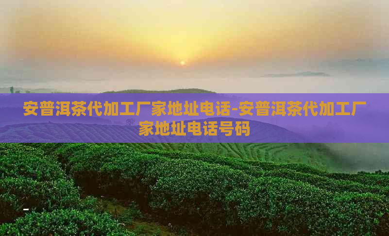 安普洱茶代加工厂家地址电话-安普洱茶代加工厂家地址电话号码