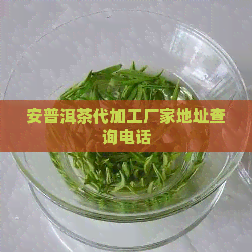 安普洱茶代加工厂家地址查询电话