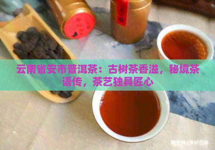 云南省安市普洱茶：古树茶香溢，秘境茶语传，茶艺独具匠心