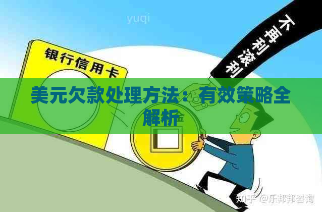 美元欠款处理方法：有效策略全解析