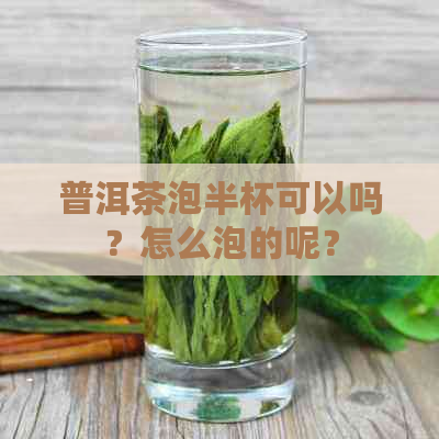 普洱茶泡半杯可以吗？怎么泡的呢？