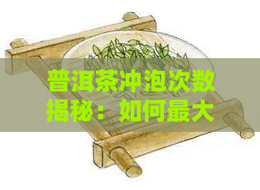 普洱茶冲泡次数揭秘：如何更大限度地利用每一杯茶的口感与营养？