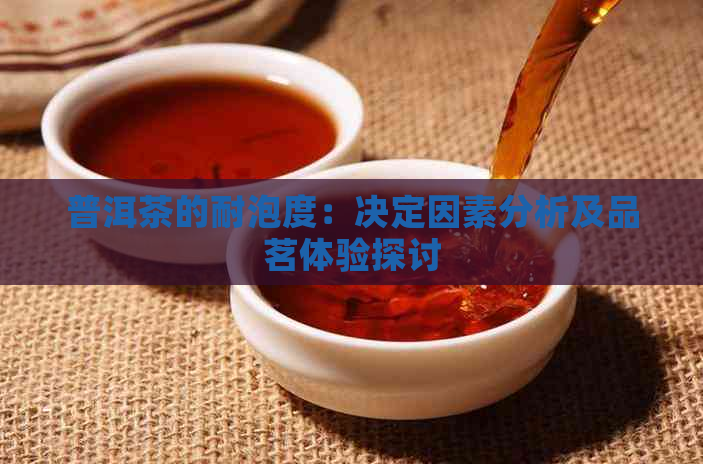 普洱茶的耐泡度：决定因素分析及品茗体验探讨