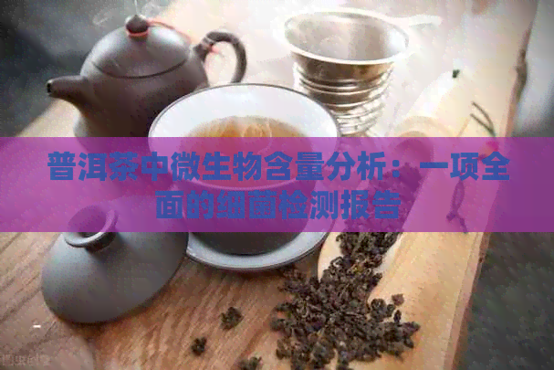 普洱茶中微生物含量分析：一项全面的细菌检测报告