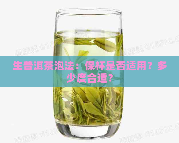 生普洱茶泡法：保杯是否适用？多少度合适？