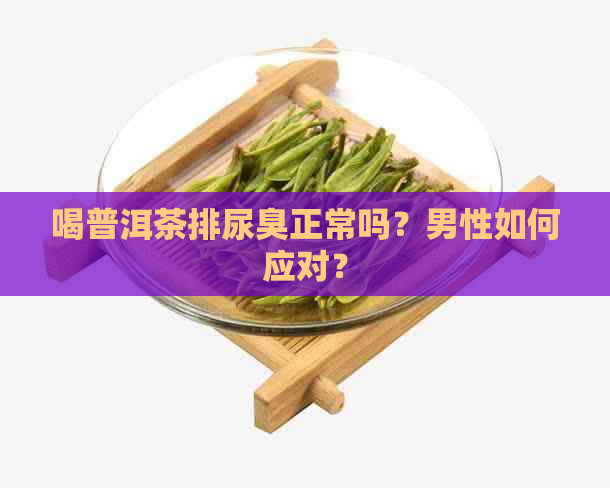 喝普洱茶排尿臭正常吗？男性如何应对？