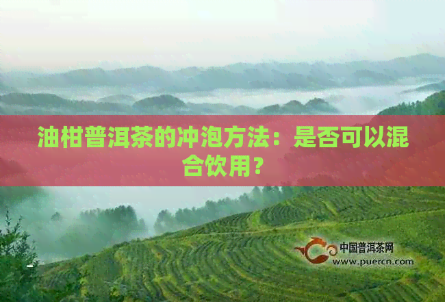 油柑普洱茶的冲泡方法：是否可以混合饮用？