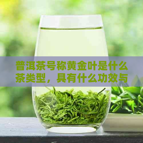 普洱茶号称黄金叶是什么茶类型，具有什么功效与作用？