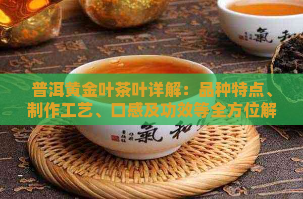 普洱黄金叶茶叶详解：品种特点、制作工艺、口感及功效等全方位解析