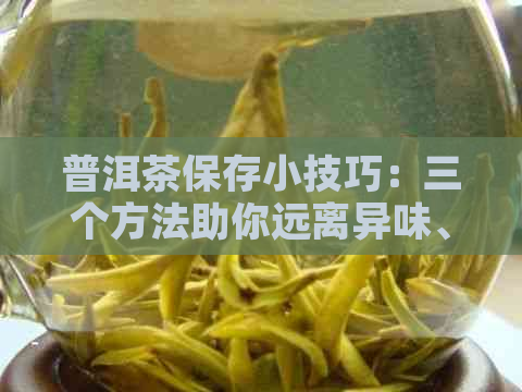 普洱茶保存小技巧：三个方法助你远离异味、霉变与潮湿