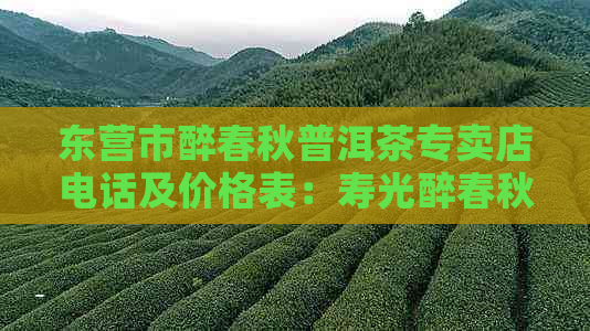 东营市醉春秋普洱茶专卖店电话及价格表：寿光醉春秋普洱茶电话