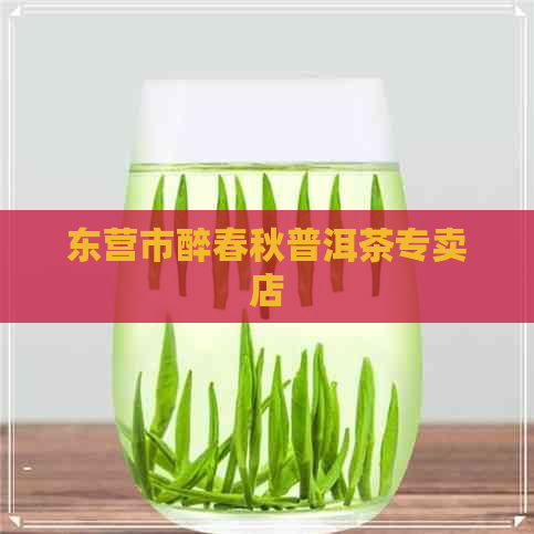 东营市醉春秋普洱茶专卖店