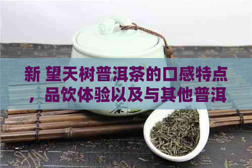 新 望天树普洱茶的口感特点，品饮体验以及与其他普洱茶的区别