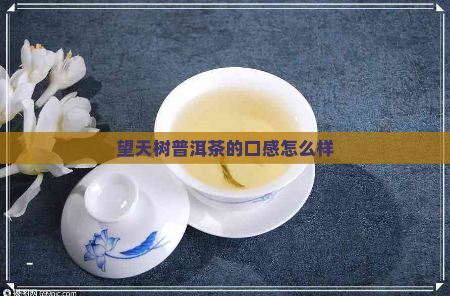 望天树普洱茶的口感怎么样