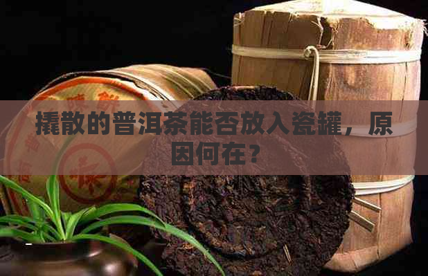 撬散的普洱茶能否放入瓷罐，原因何在？