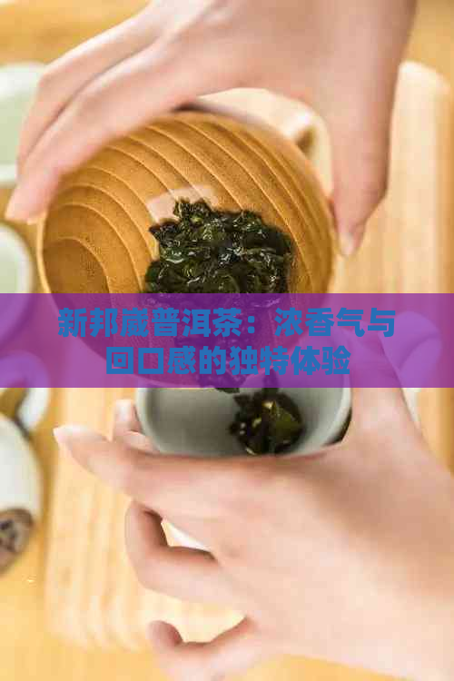 新邦崴普洱茶：浓香气与回口感的独特体验