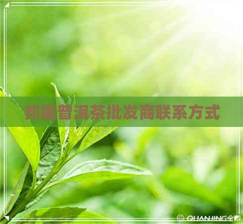 邦崴普洱茶批发商联系方式