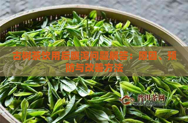 古树茶饮用后腹泻问题解答：原因、预防与改善方法