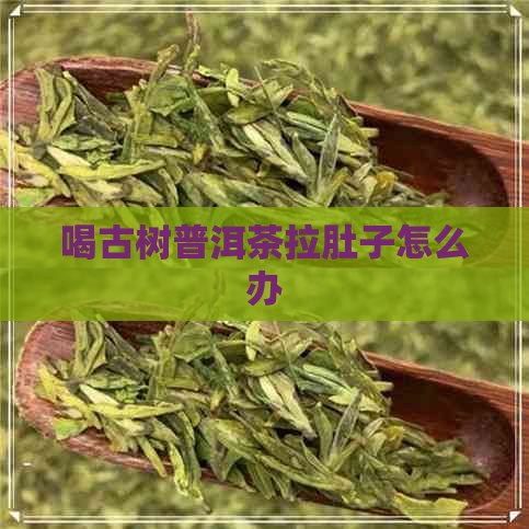 喝古树普洱茶拉肚子怎么办