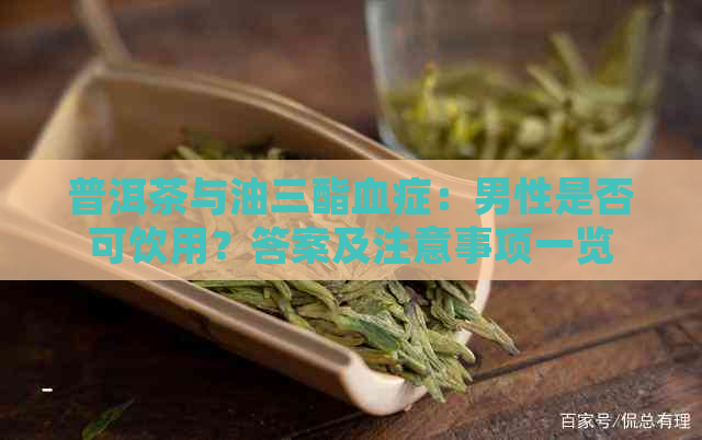 普洱茶与油三酯血症：男性是否可饮用？答案及注意事项一览