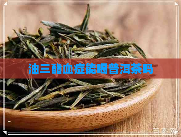 油三酯血症能喝普洱茶吗