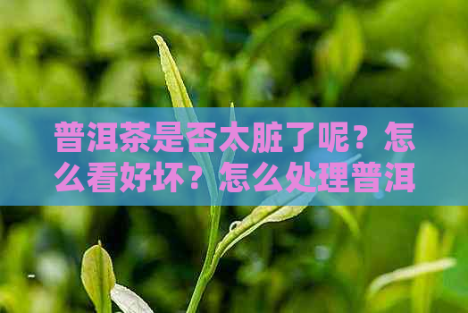 普洱茶是否太脏了呢？怎么看好坏？怎么处理普洱茶迹？