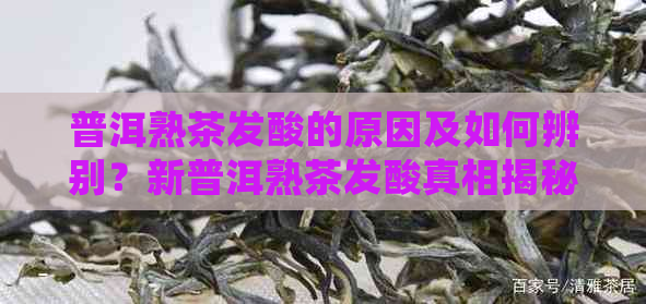 普洱熟茶发酸的原因及如何辨别？新普洱熟茶发酸真相揭秘及其品尝技巧