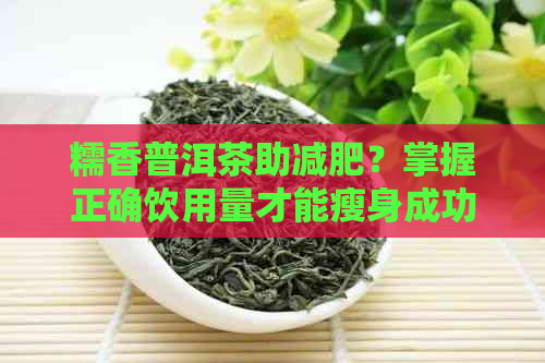 糯香普洱茶助减肥？掌握正确饮用量才能瘦身成功！