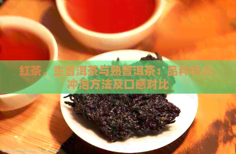 红茶、生普洱茶与熟普洱茶：品种特点、冲泡方法及口感对比