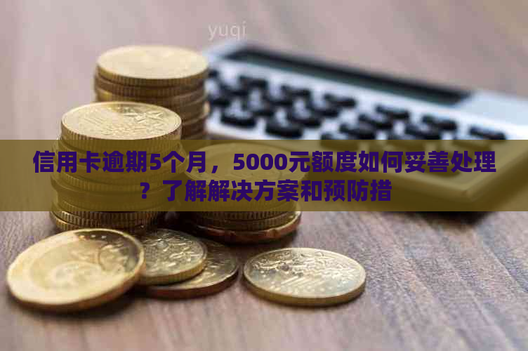 信用卡逾期5个月，5000元额度如何妥善处理？了解解决方案和预防措