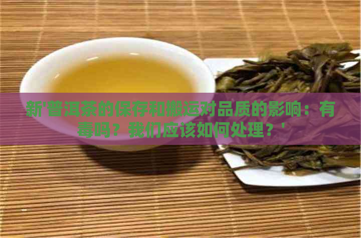 新'普洱茶的保存和搬运对品质的影响：有吗？我们应该如何处理？'