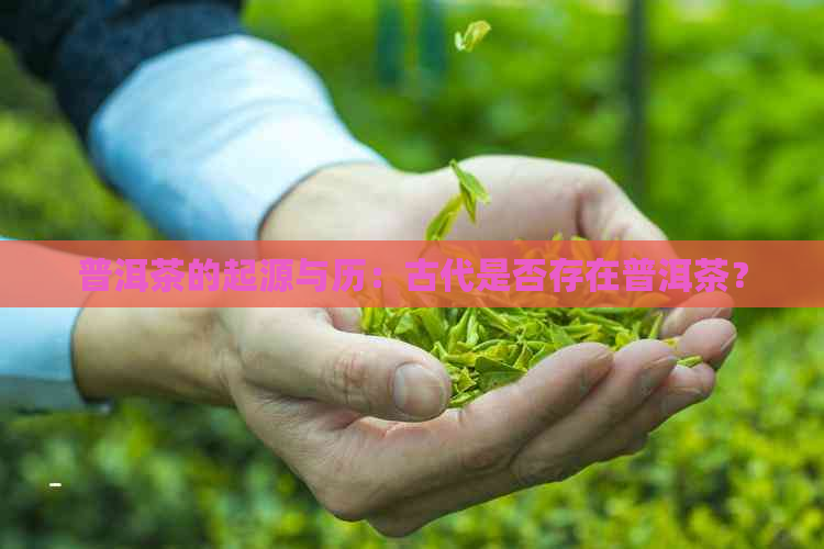 普洱茶的起源与历：古代是否存在普洱茶？