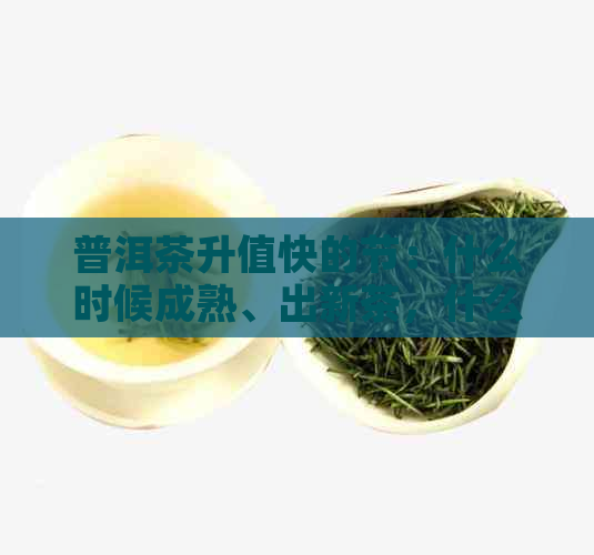 普洱茶升值快的节：什么时候成熟、出新茶，什么节最适合饮用？