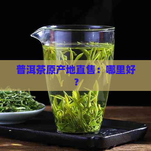 普洱茶原产地直售：哪里好？