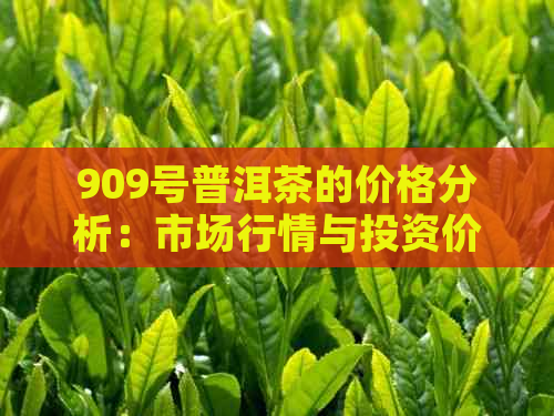 909号普洱茶的价格分析：市场行情与投资价值探讨