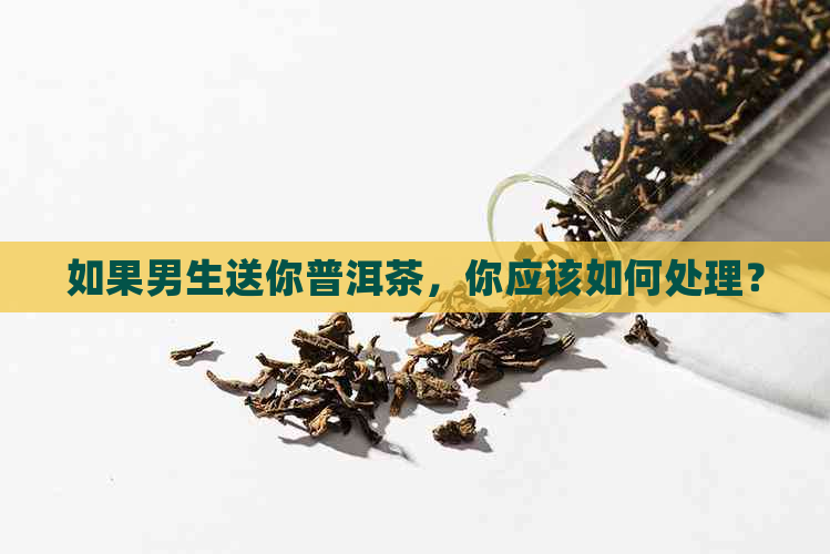 如果男生送你普洱茶，你应该如何处理？