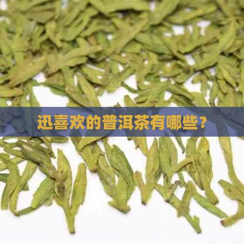 迅喜欢的普洱茶有哪些？