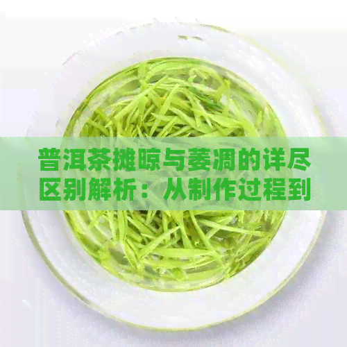 普洱茶摊晾与萎凋的详尽区别解析：从制作过程到成品特点全面了解