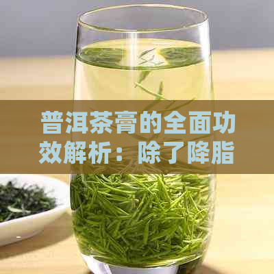 普洱茶膏的全面功效解析：除了降脂减肥，还有哪些意想不到的作用？