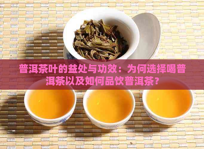 普洱茶叶的益处与功效：为何选择喝普洱茶以及如何品饮普洱茶？