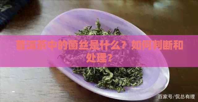 普洱茶中的菌丝是什么？如何判断和处理？