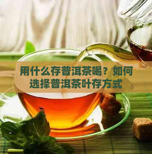 用什么存普洱茶喝？如何选择普洱茶叶存方式