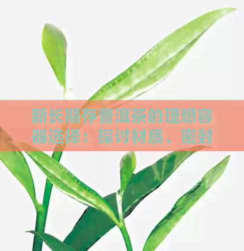 新长期存普洱茶的理想容器选择：探讨材质、密封性和度控制的影响